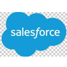 Salesforce Crm logo